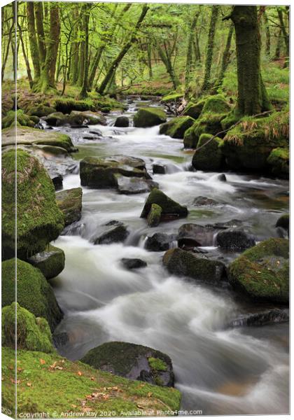 Upper Golitha Falls Canvas Print by Andrew Ray