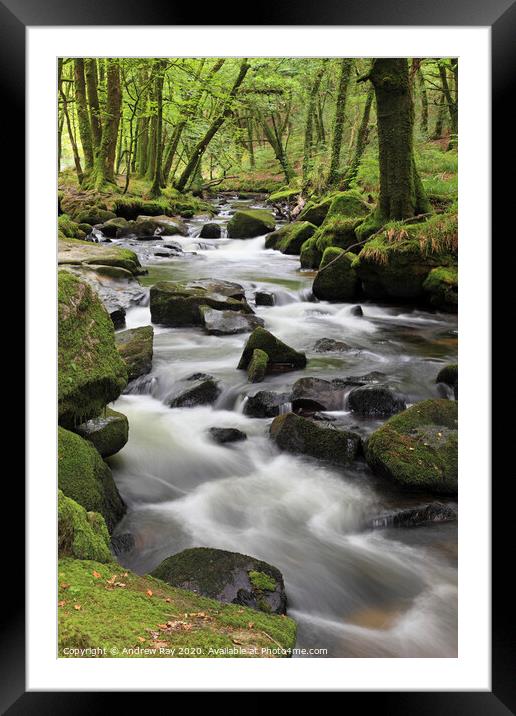 Upper Golitha Falls Framed Mounted Print by Andrew Ray