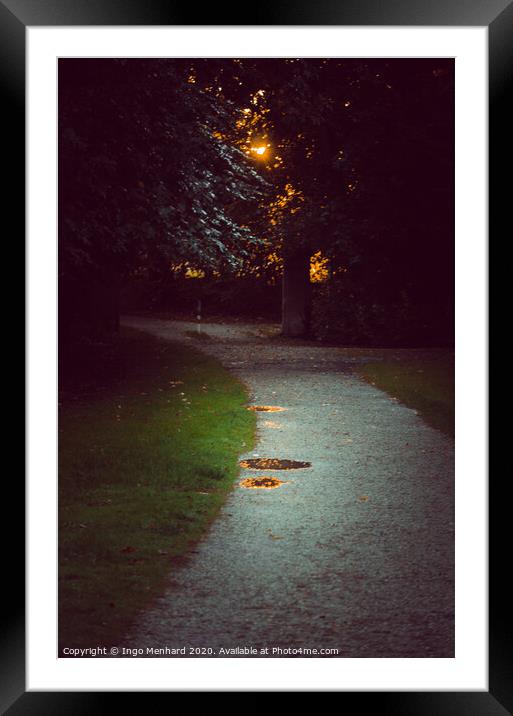 Romantic park way in the evening Framed Mounted Print by Ingo Menhard