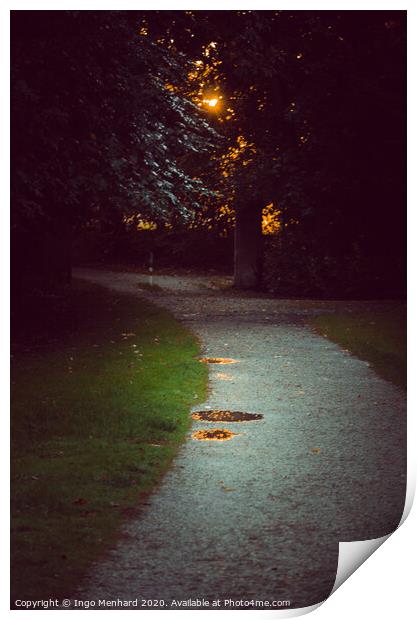 Romantic park way in the evening Print by Ingo Menhard