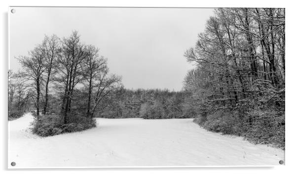 Winter landscape from a oak forest Acrylic by Arpad Radoczy