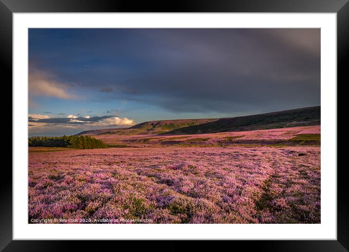Sea of Heather Framed Mounted Print by kevin cook