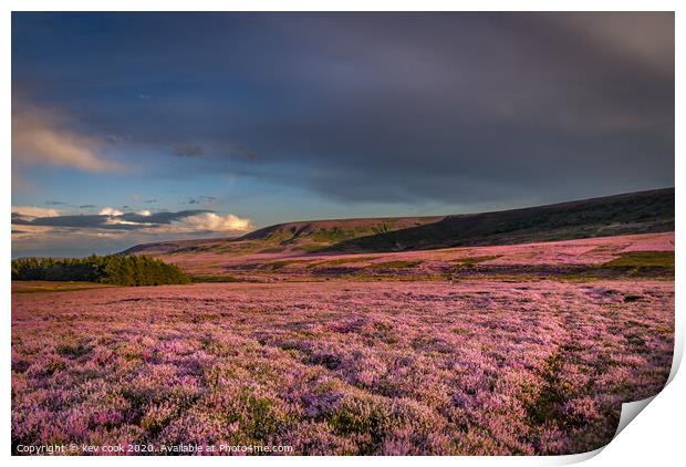 Sea of Heather Print by kevin cook