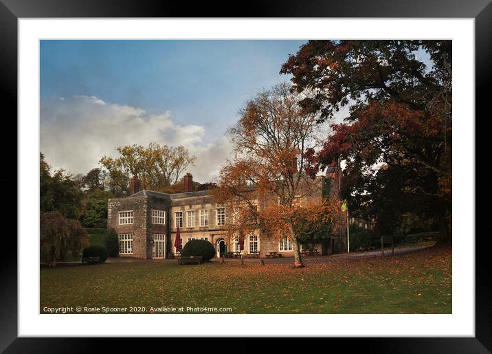Cockington Court in autumn Framed Mounted Print by Rosie Spooner