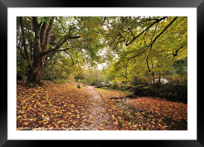 Autumn footpath at Cockington Framed Mounted Print by Rosie Spooner