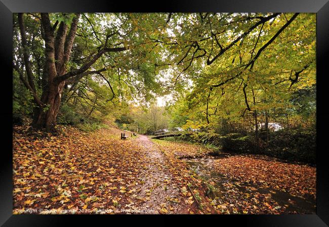 Autumn footpath at Cockington Framed Print by Rosie Spooner