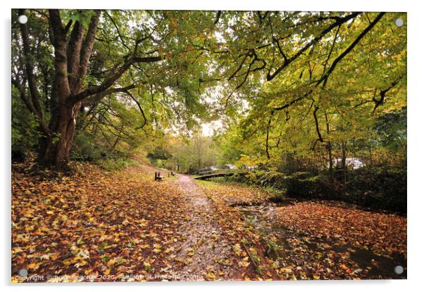 Autumn footpath at Cockington Acrylic by Rosie Spooner