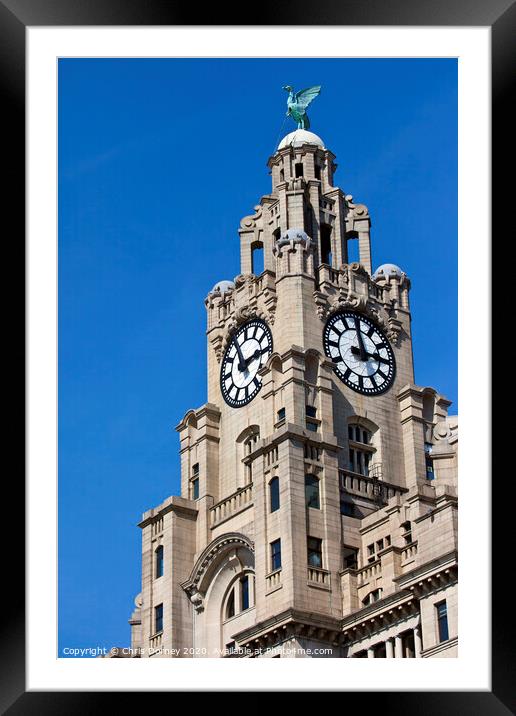 Royal Liver Building in Liverpool Framed Mounted Print by Chris Dorney