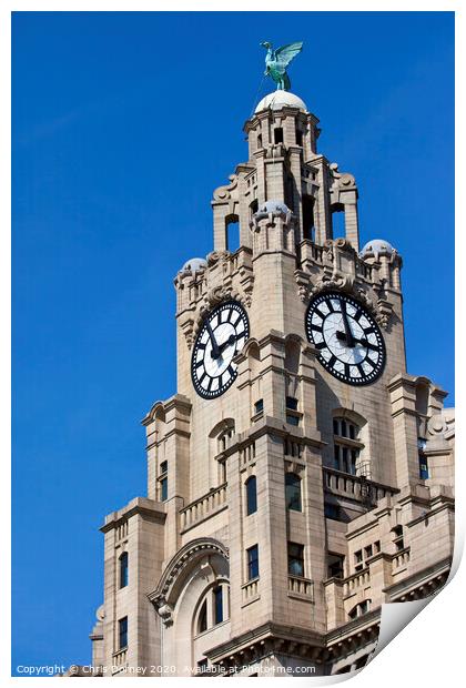 Royal Liver Building in Liverpool Print by Chris Dorney