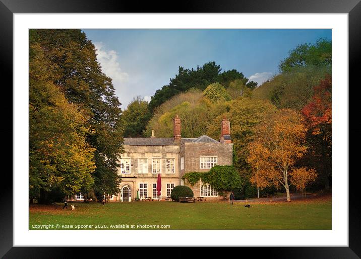 Cockington Court in Torquay Framed Mounted Print by Rosie Spooner