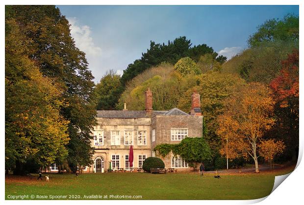 Cockington Court in Torquay Print by Rosie Spooner