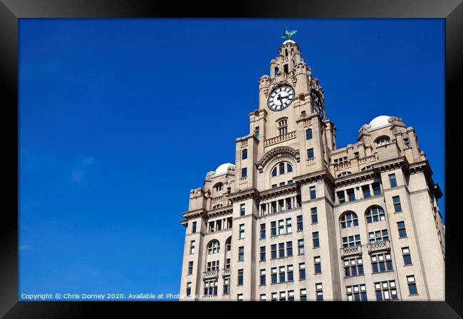 Royal Liver Building in Liverpool Framed Print by Chris Dorney