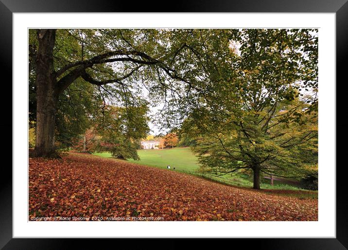 Autumn view through the trees Framed Mounted Print by Rosie Spooner