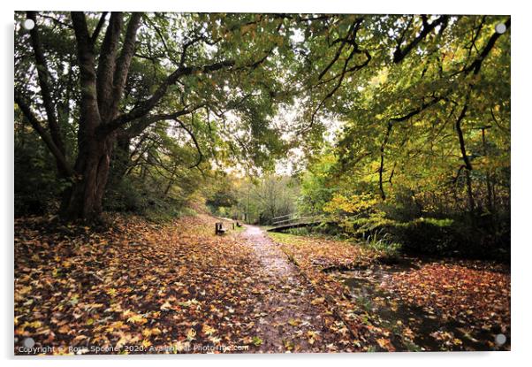 Autumn walk Cockington Acrylic by Rosie Spooner