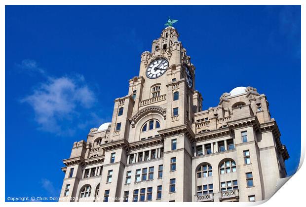 Royal Liver Building in Liverpool Print by Chris Dorney