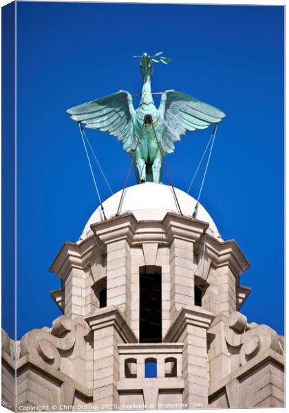 Liver Bird Perched on the Royal Liver Building Canvas Print by Chris Dorney