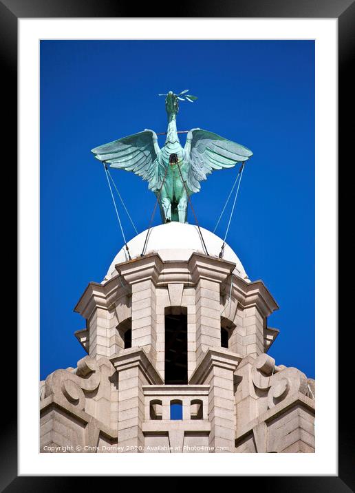 Liver Bird Perched on the Royal Liver Building Framed Mounted Print by Chris Dorney