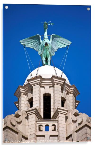 Liver Bird Perched on the Royal Liver Building Acrylic by Chris Dorney