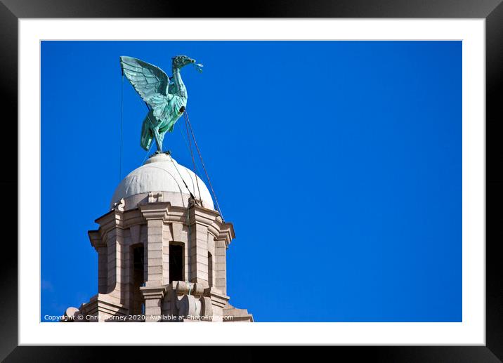 Liver Bird Perched on the Royal Liver Building Framed Mounted Print by Chris Dorney