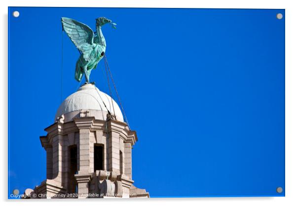 Liver Bird Perched on the Royal Liver Building Acrylic by Chris Dorney
