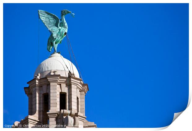 Liver Bird Perched on the Royal Liver Building Print by Chris Dorney