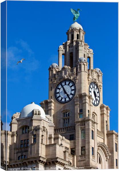 Royal Liver Building in Liverpool Canvas Print by Chris Dorney
