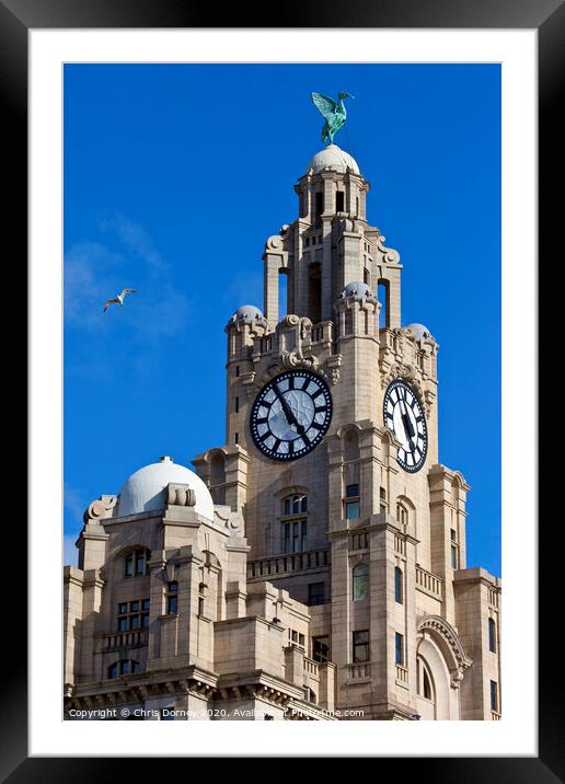 Royal Liver Building in Liverpool Framed Mounted Print by Chris Dorney