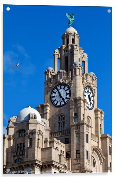 Royal Liver Building in Liverpool Acrylic by Chris Dorney