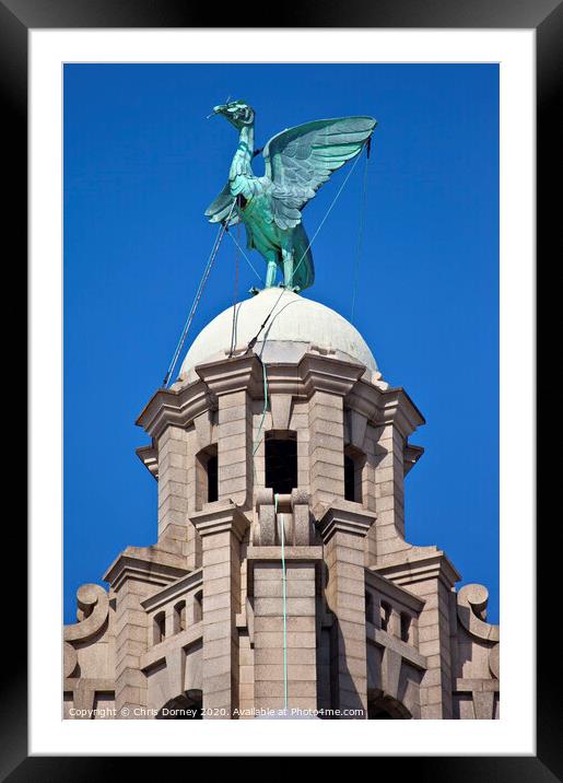 Liver Bird Perched on the Royal Liver Building Framed Mounted Print by Chris Dorney