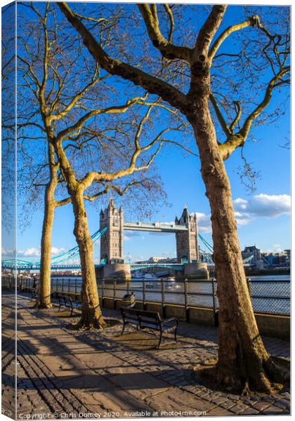 View of Tower Bridge along the Thames Path in London Canvas Print by Chris Dorney