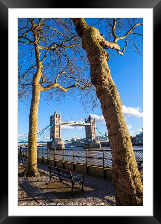 View of Tower Bridge from the Thames Path in London Framed Mounted Print by Chris Dorney