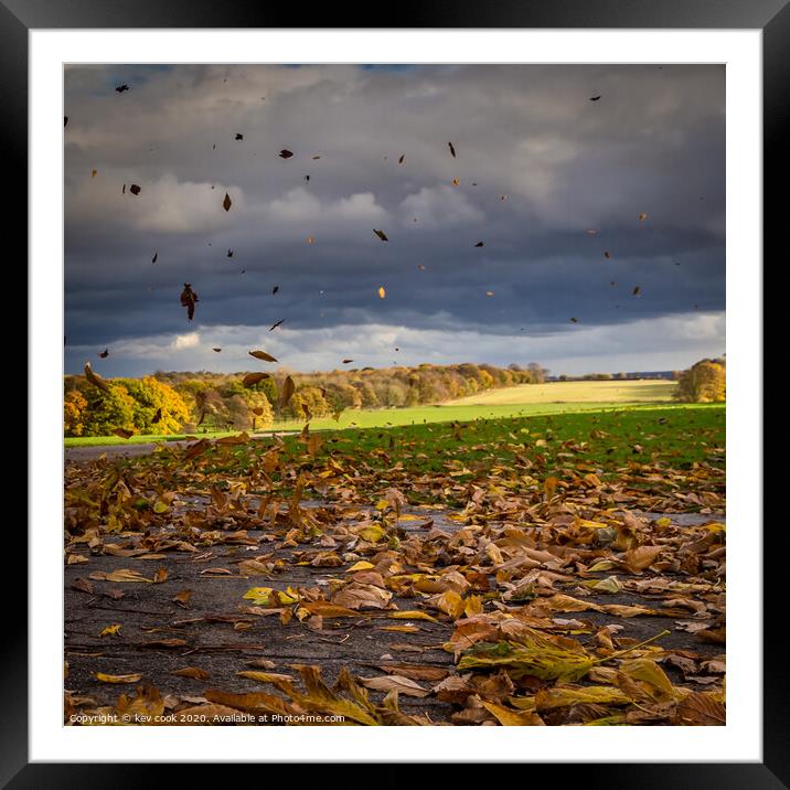 Autumn winds Framed Mounted Print by kevin cook