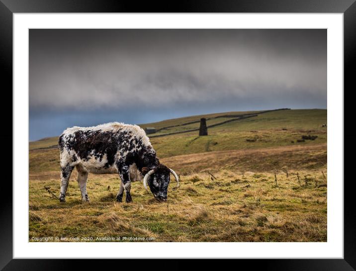 the beast of Malham Framed Mounted Print by kevin cook
