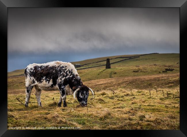 the beast of Malham Framed Print by kevin cook