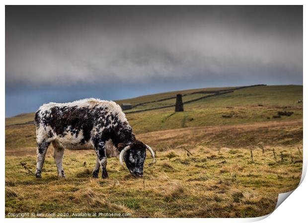 the beast of Malham Print by kevin cook