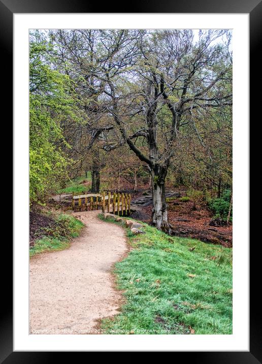 'A Tranquil Stroll Through Longshaw Estate' Framed Mounted Print by Holly Burgess