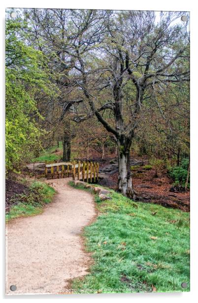 'A Tranquil Stroll Through Longshaw Estate' Acrylic by Holly Burgess
