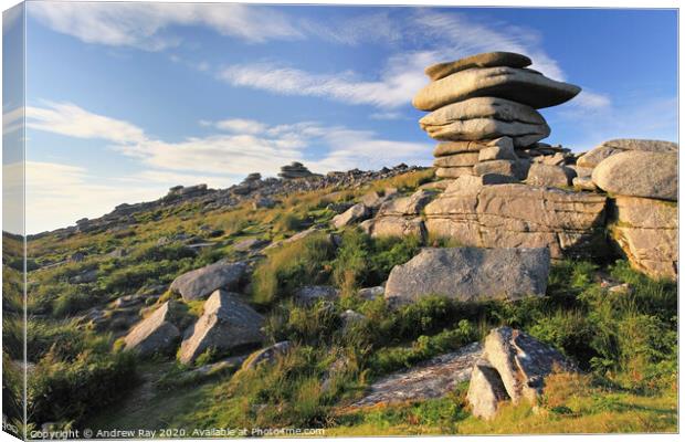 The Cheesewring on Bodmin Moor Canvas Print by Andrew Ray