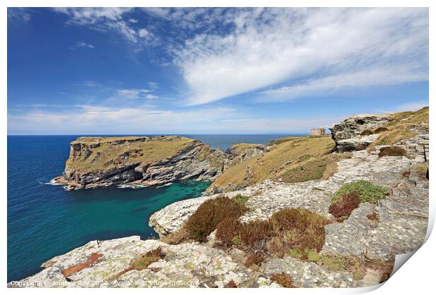 Tintagel Head and Castle Print by Andrew Ray