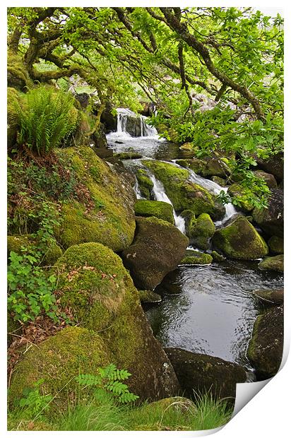Waterfall on Dartmoor Print by Pete Hemington