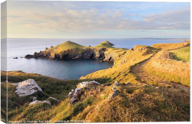 Coast Path to the Rumps Canvas Print by Andrew Ray