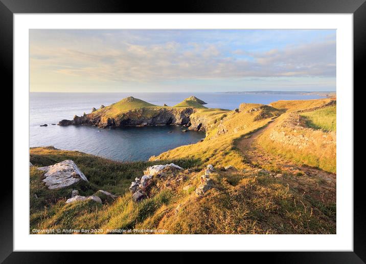 Coast Path to the Rumps Framed Mounted Print by Andrew Ray