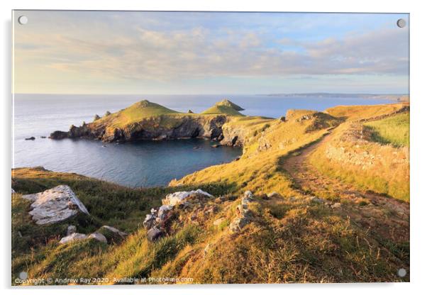 Coast Path to the Rumps Acrylic by Andrew Ray