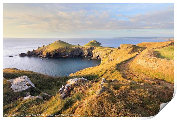 Coast Path to the Rumps Print by Andrew Ray