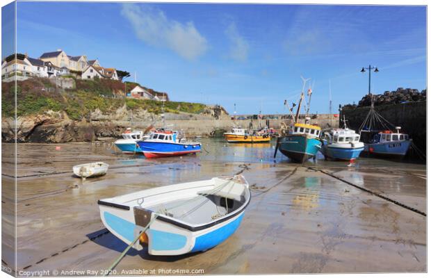 Boats in Newquay Harbour Canvas Print by Andrew Ray