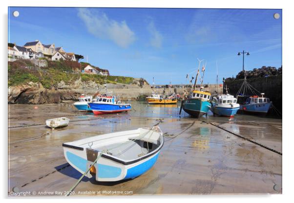 Boats in Newquay Harbour Acrylic by Andrew Ray