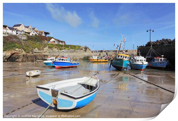Boats in Newquay Harbour Print by Andrew Ray