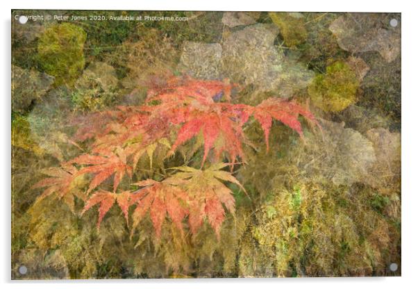 Early Autumn medley Acrylic by Peter Jones