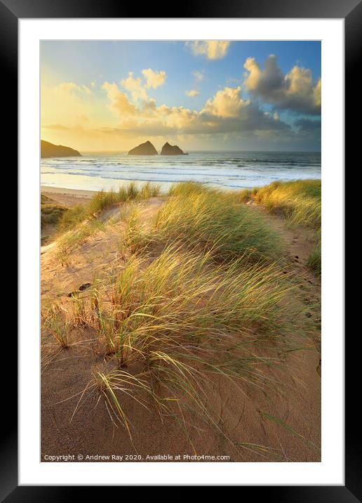 Dunes at sunset (Holywell Bay) Framed Mounted Print by Andrew Ray
