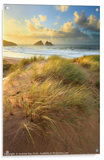 Dunes at sunset (Holywell Bay) Acrylic by Andrew Ray